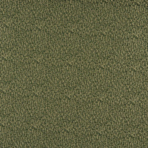3765 Avocado by Charlotte Fabric
