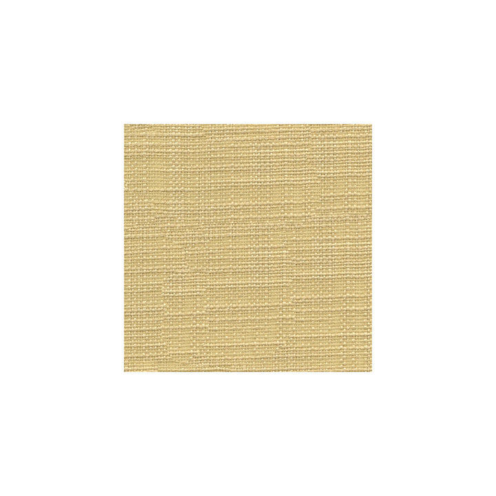3767-116 by Kravet Basics Fabric - POLYESTER - 100% India - Horizontal: - and Vertical: - 54 - Fabric Carolina -