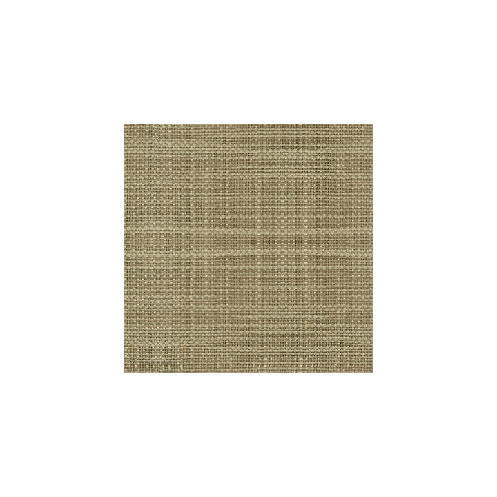 3767-11 by Kravet Basics Fabric - POLYESTER - 100% India - Horizontal: - and Vertical: - 54 - Fabric Carolina -