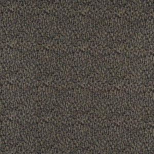 3767 Charcoal by Charlotte Fabric