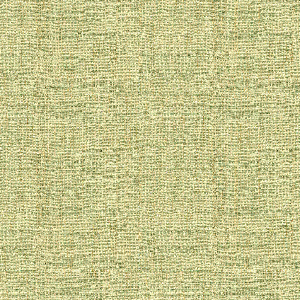 Tempo - Pistachio By Kravet Contract Fabric