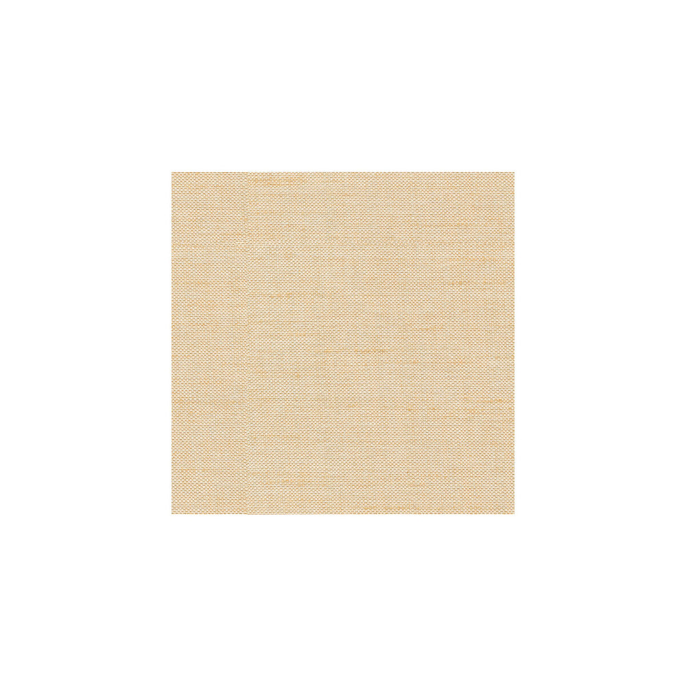 3771-1116 by Kravet Basics Fabric - POLYESTER - 100% Turkey - Horizontal: - and Vertical: - 54 - Fabric Carolina -