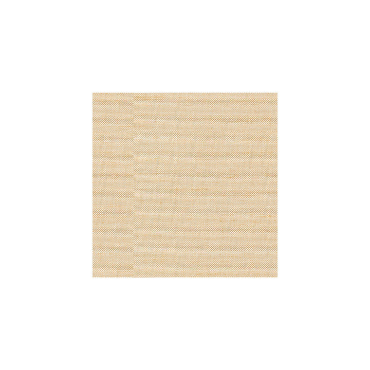 3771-1116 by Kravet Basics Fabric - POLYESTER - 100% Turkey - Horizontal: - and Vertical: - 54 - Fabric Carolina -