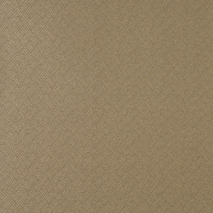 3774 Sand by Charlotte Fabric Decorative Durables XI 55% Polyester, 45% Olefin Made In USA Exceeds 150,000 Wyzenbeek Rubs (Heavy Duty) Horizontal: 1.75" x Vertical: 1.5" 54 Inches - Fabric Carolina -