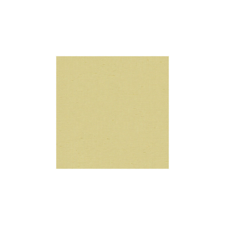 3777-116 by Kravet Basics Fabric POLYESTER - 100% India HEAVY Horizontal: and Vertical: 54 - Fabric Carolina -