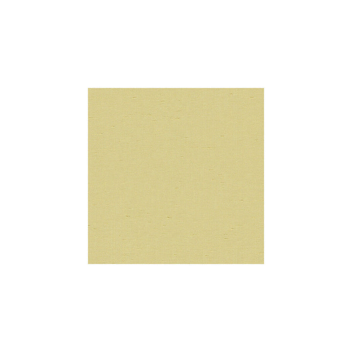 Kravet Basics 3777-116 by Kravet Basics Fabric Kravet Basics Fabric Kravet Basics 3777-116Fabric POLYESTER - 100% India </p><p>Repeat: H: , V: 54 - Fabric Carolina -