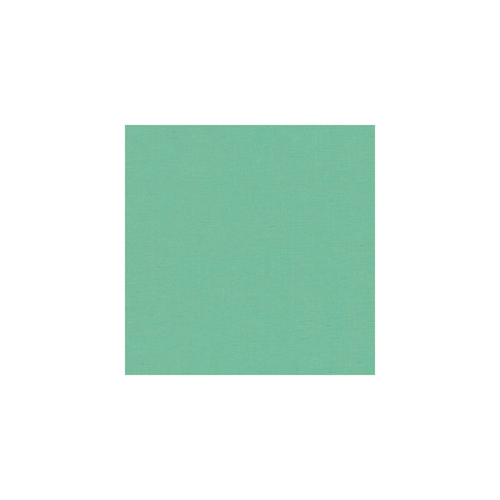 3777-13 by Kravet Basics Fabric POLYESTER - 100% India HEAVY Horizontal: and Vertical: 54 - Fabric Carolina -