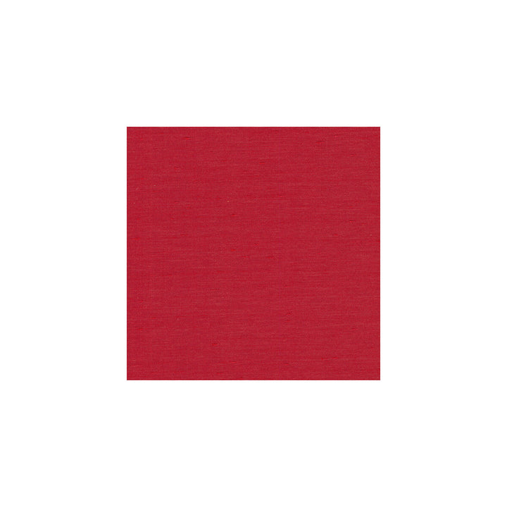 3777-919 by Kravet Basics Fabric - POLYESTER - 100% India HEAVY Horizontal: - and Vertical: - 54 - Fabric Carolina -