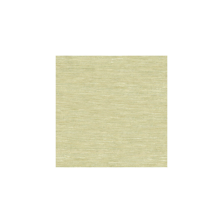 3779-1116 by Kravet Basics Fabric POLYESTER - 100% Turkey Horizontal: and Vertical: 60 - Fabric Carolina -