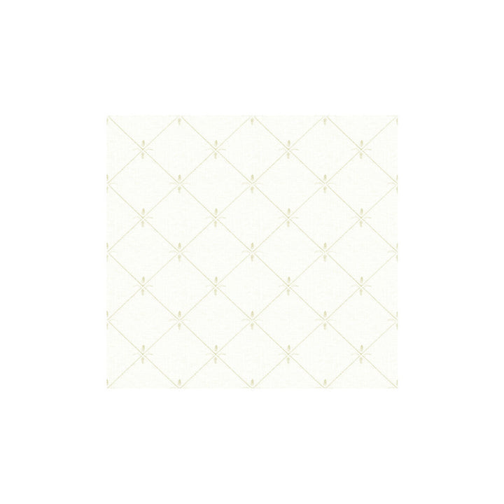 3790-101 by Kravet Basics Fabric - COTTON - 65%;POLYESTER - 35% India - Horizontal: 3 and Vertical: 3 52 - Fabric Carolina -