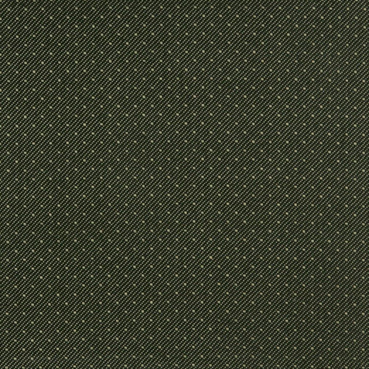 3806 Moss by Charlotte Fabric Decorative Durables XI 100% Olefin Made In USA Exceeds 150,000 Wyzenbeek Rubs (Heavy Duty) </p><p>Repeat: Horizontal: .5" x Vertical: .5" 54 Inches - Fabric Carolina -