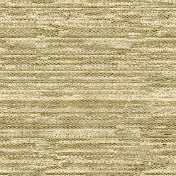 Kravet Basics 3807-1616 by Kravet Basics Fabric