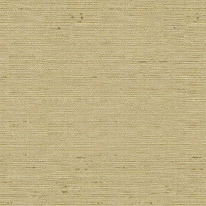 Kravet Basics 3807-1616 by Kravet Basics Fabric