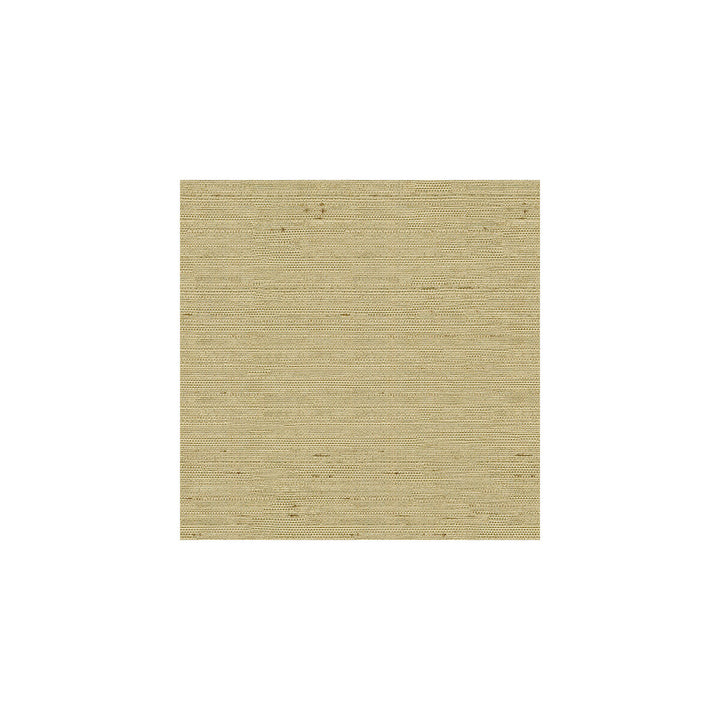 3807-1616 by Kravet Basics Fabric POLYESTER - 100% India Horizontal: and Vertical: 54 - Fabric Carolina -