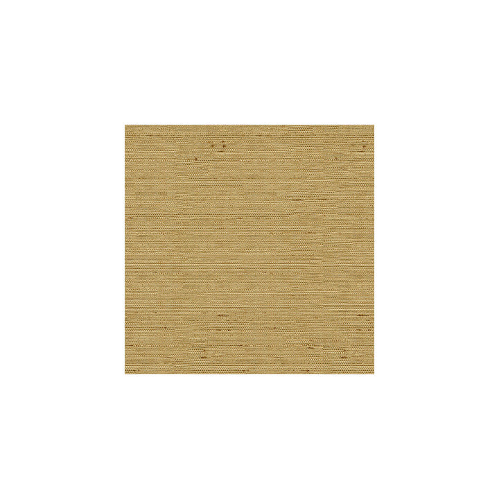 3807-4 by Kravet Basics Fabric POLYESTER - 100% India Horizontal: and Vertical: 54 - Fabric Carolina -