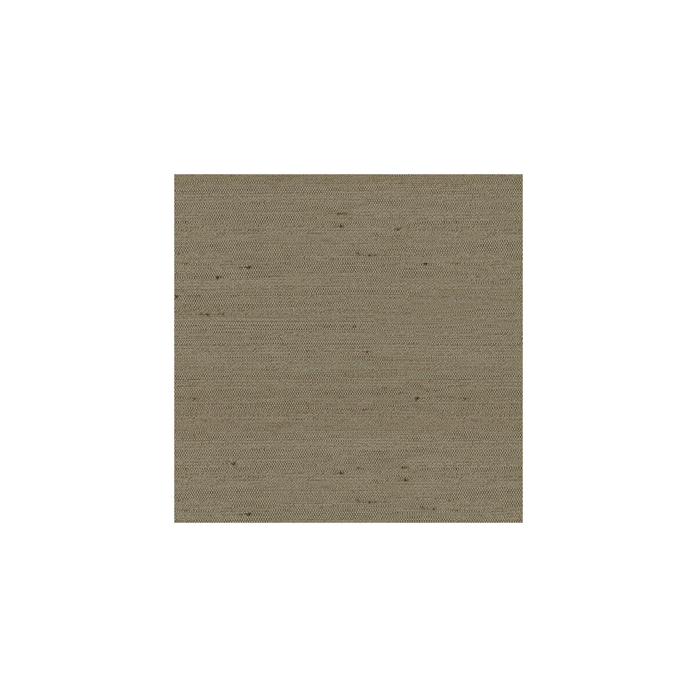 3807-6 by Kravet Basics Fabric - POLYESTER - 100% India - Horizontal: - and Vertical: - 54 - Fabric Carolina -