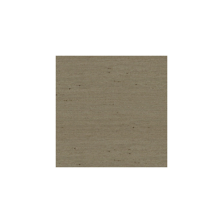 3807-6 by Kravet Basics Fabric - POLYESTER - 100% India - Horizontal: - and Vertical: - 54 - Fabric Carolina -