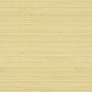 Kravet Basics 3808-1116 by Kravet Basics Fabric