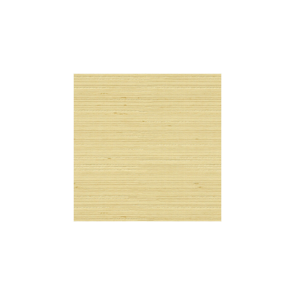 3808-1116 by Kravet Basics Fabric - POLYESTER - 100% India - Horizontal: - and Vertical: - 54 - Fabric Carolina -