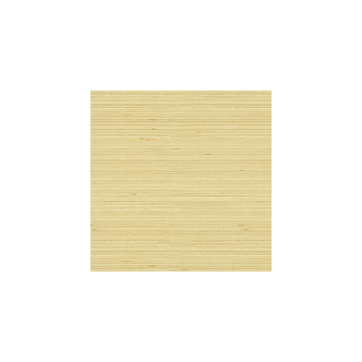 3808-1116 by Kravet Basics Fabric - POLYESTER - 100% India - Horizontal: - and Vertical: - 54 - Fabric Carolina -