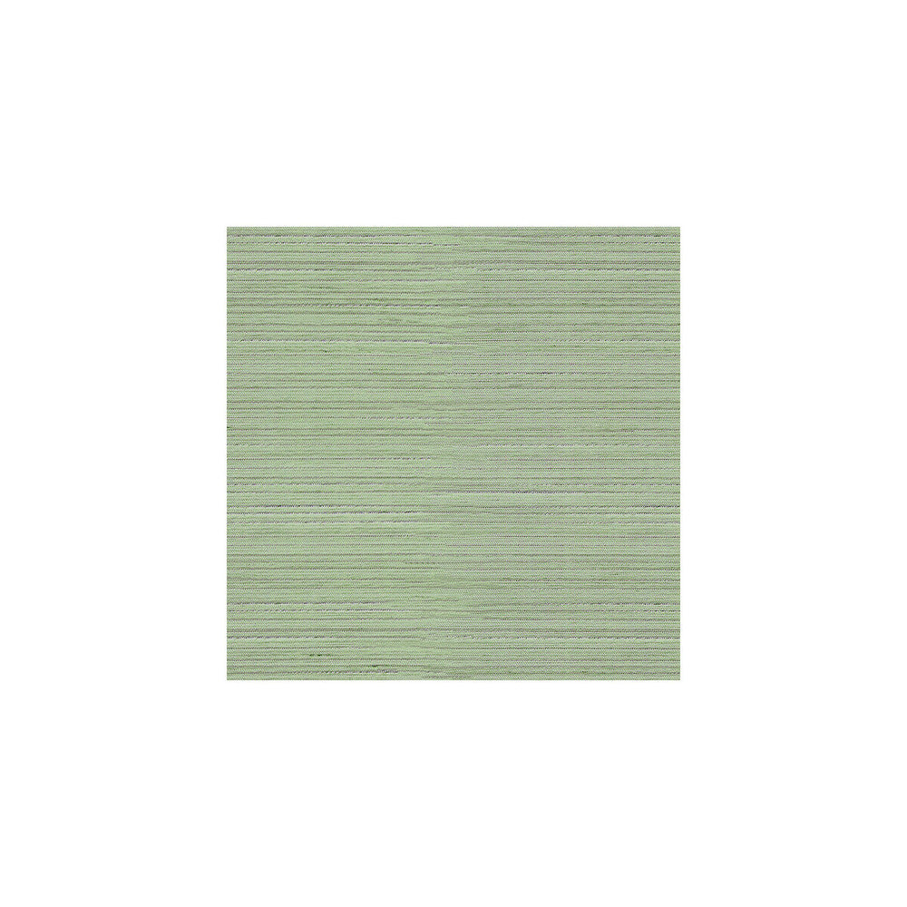 3808-135 by Kravet Basics Fabric POLYESTER - 100% India Horizontal: and Vertical: 54 - Fabric Carolina -