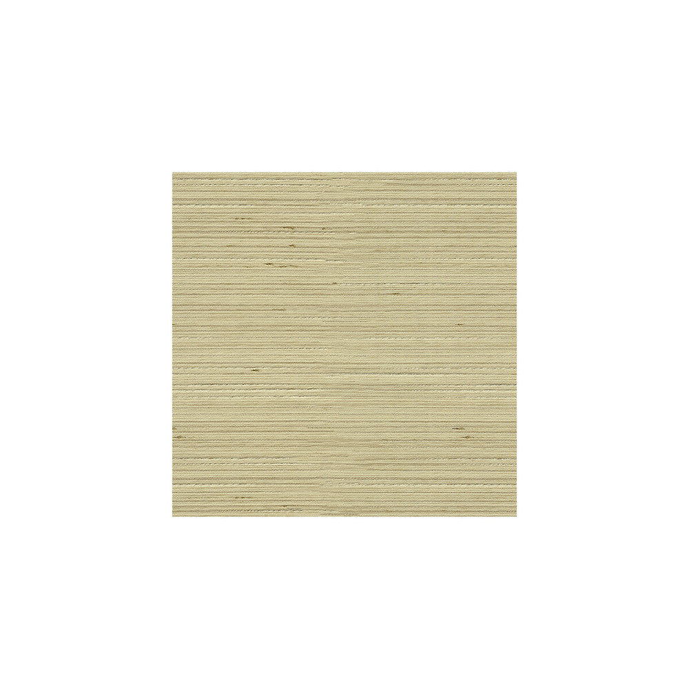 3808-1616 by Kravet Basics Fabric - POLYESTER - 100% India - Horizontal: - and Vertical: - 54 - Fabric Carolina -