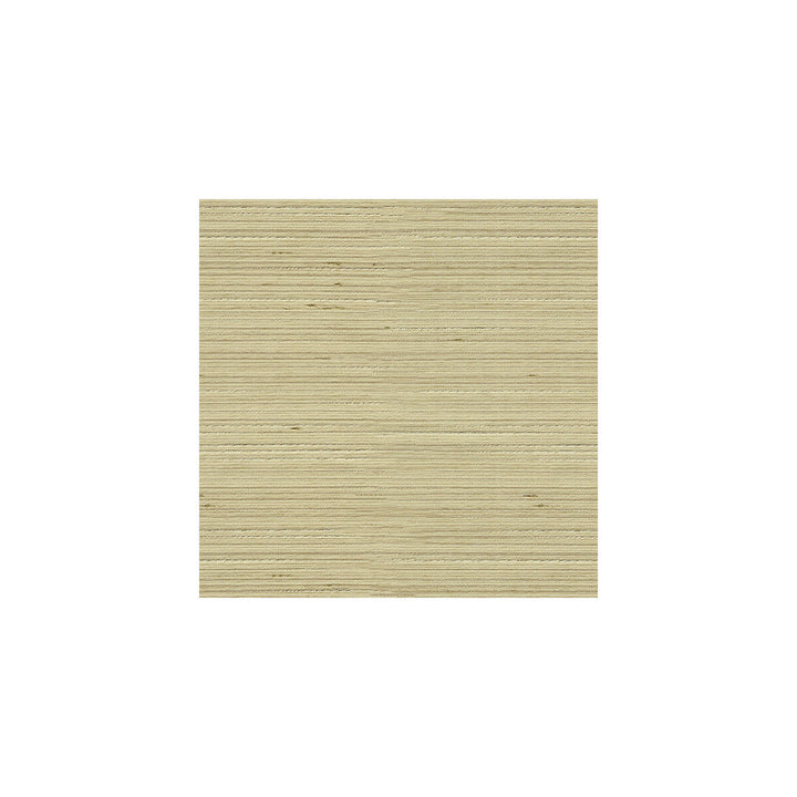3808-1616 by Kravet Basics Fabric - POLYESTER - 100% India - Horizontal: - and Vertical: - 54 - Fabric Carolina -
