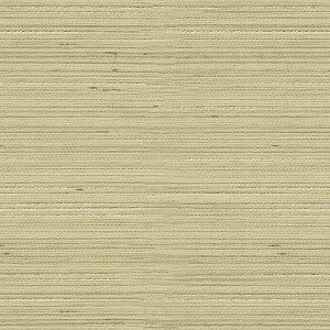 Kravet Basics 3808-1616 by Kravet Basics Fabric