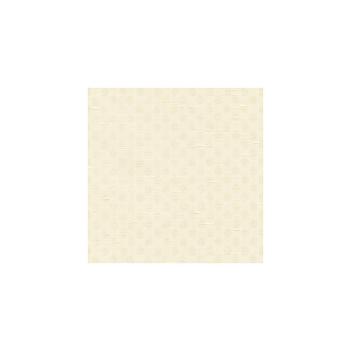 3810-101 by Kravet Basics Fabric POLYESTER - 100% India Horizontal: and Vertical: 54 - Fabric Carolina -