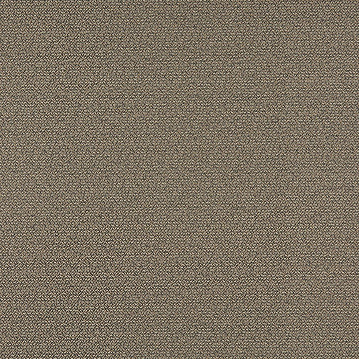 3820 Pebble by Charlotte Fabric Decorative Durables XI 69% Olefin, 31% Polyester Made In USA Exceeds 150,000 Wyzenbeek Rubs (Heavy Duty) No Repeat 54 Inches - Fabric Carolina -