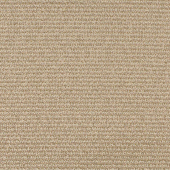 3821 Wheat by Charlotte Fabric Decorative Durables XI 69% Olefin, 31% Polyester Made In USA Exceeds 150,000 Wyzenbeek Rubs (Heavy Duty) No Repeat 54 Inches - Fabric Carolina -