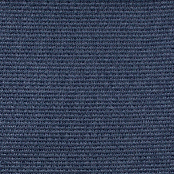 3824 Royal by Charlotte Fabric Decorative Durables XI 69% Olefin, 31% Polyester Made In USA Exceeds 150,000 Wyzenbeek Rubs (Heavy Duty) No Repeat 54 Inches - Fabric Carolina -