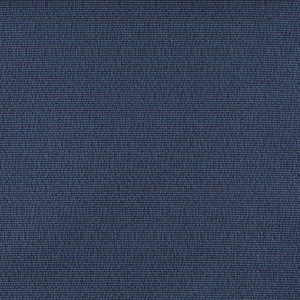 3824 Royal by Charlotte Fabric Decorative Durables XI 69% Olefin, 31% Polyester Made In USA Exceeds 150,000 Wyzenbeek Rubs (Heavy Duty) No Repeat 54 Inches - Fabric Carolina -