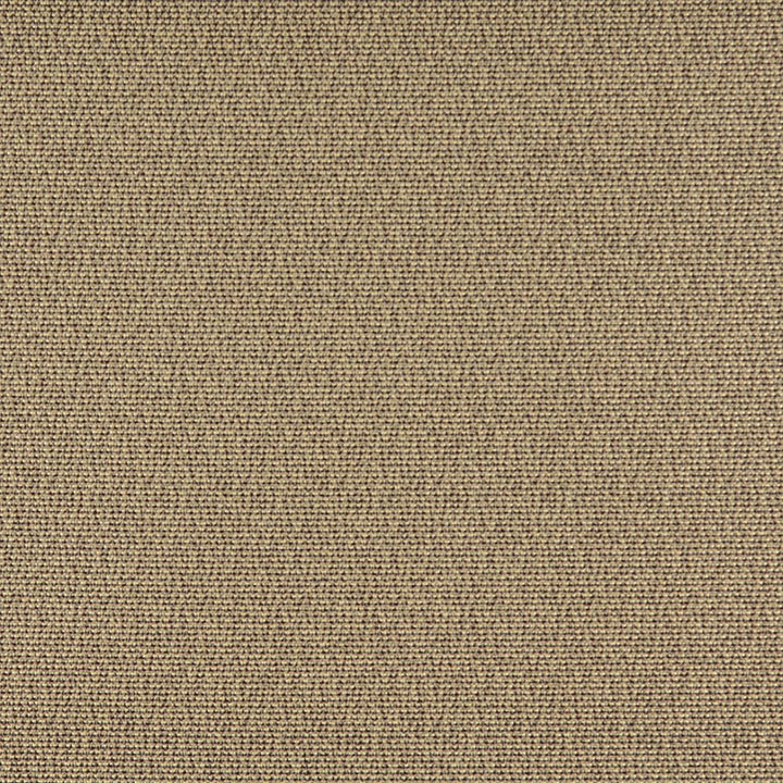 3827 Truffle by Charlotte Fabric Decorative Durables XI 69% Olefin, 31% Polyester Made In USA Exceeds 150,000 Wyzenbeek Rubs (Heavy Duty) No Repeat 54 Inches - Fabric Carolina -