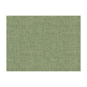 Finn Green Tea by Kravet Contract Fabric