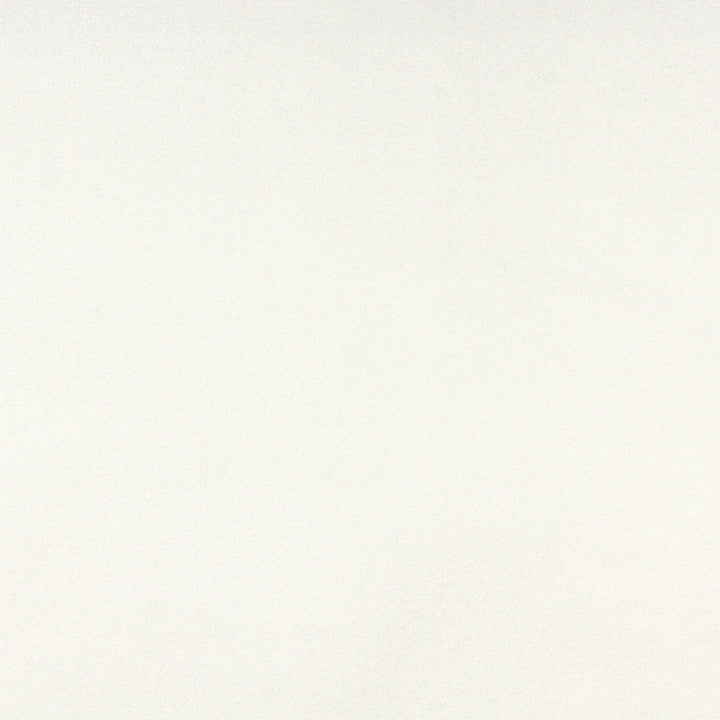 3856 White by Charlotte Fabric Vivid Velvets 100% Nylon Made In USA Exceeds 100,000 Wyzenbeek Rubs (Heavy Duty) </p><p>Repeat: No Repeat 54 Inches - Fabric Carolina -