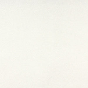 3856 White by Charlotte Fabric