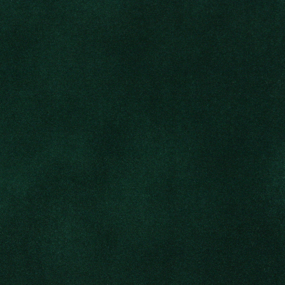 3860 Emerald by Charlotte Fabric Vivid Velvets 100% Nylon Velvet Made In USA Exceeds 100,000 Wyzenbeek Rubs (Heavy Duty) No Repeat 54 Inches - Fabric Carolina -