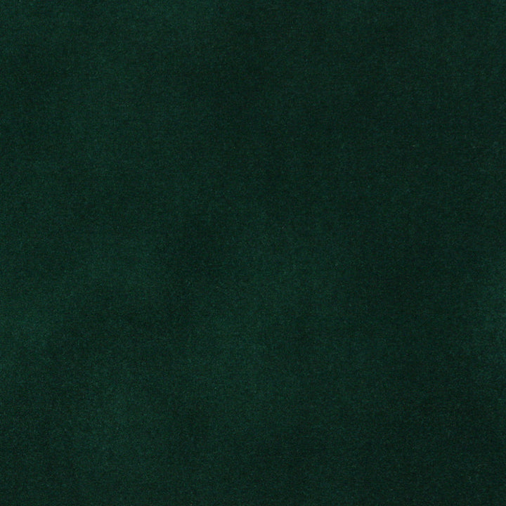 3860 Emerald by Charlotte Fabric Vivid Velvets 100% Nylon Velvet Made In USA Exceeds 100,000 Wyzenbeek Rubs (Heavy Duty) No Repeat 54 Inches - Fabric Carolina -