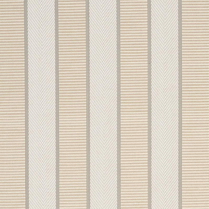 Ribbon Stripe Champagne 77101 by Schumacher Fabric Timothy Corrigan 1.12" - Fabric Carolina -