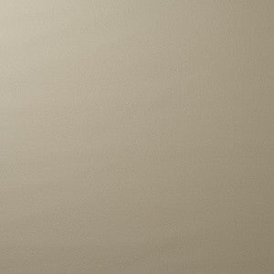 Vegan Leather Indoor/Outdoor Pewter 80904 by Schumacher Fabric