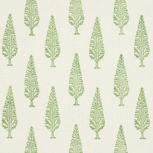 Juniper Block Print Green 178511 by Schumacher Fabric