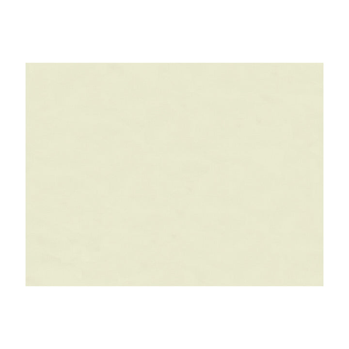 3873-111 by Kravet Contract Fabric POLYESTER - 100% United Kingdom Horizontal: and Vertical: 55 - Fabric Carolina -