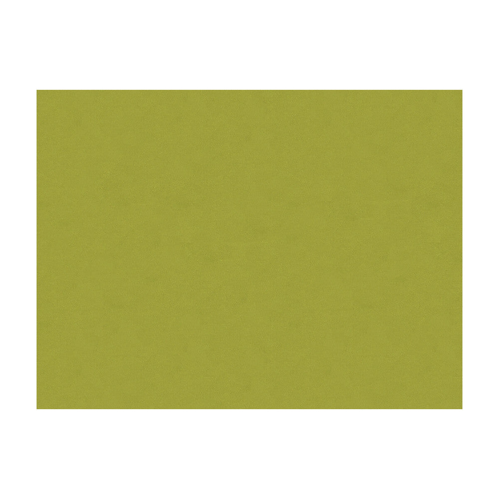 3873-303 by Kravet Contract Fabric POLYESTER - 100% United Kingdom Horizontal: and Vertical: 55 - Fabric Carolina -
