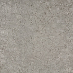 3874 Pewter Crushed by Charlotte Fabric