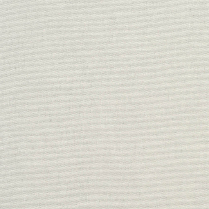 3880 Charcoal by Charlotte Designer Fabric Cotton Duck 100% Cotton 12 oz. Preshrunk Canvas Duck Made In USA Exceeds 60,000 Wyzenbeek Rubs (Heavy Duty) No Repeat 54 Inches - Swanky Fabrics -