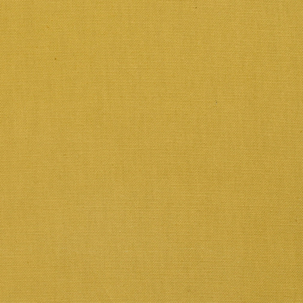 3883 Citrus by Charlotte Fabric Cotton Duck 100% Cotton 12 oz. Preshrunk Canvas Duck Made In USA Exceeds 60,000 Wyzenbeek Rubs (Heavy Duty) No Repeat 54 Inches - Fabric Carolina -