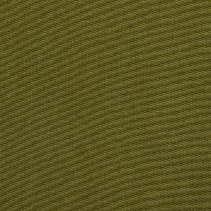 3886 Moss by Charlotte Fabric Cotton Duck 100% Cotton 12 oz. Preshrunk Canvas Duck Made In USA Exceeds 60,000 Wyzenbeek Rubs (Heavy Duty) No Repeat 54 Inches - Fabric Carolina -