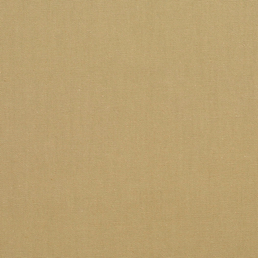 3888 Celadon by Charlotte Fabric Cotton Duck 100% Cotton 12 oz. Preshrunk Canvas Duck Made In USA Exceeds 60,000 Wyzenbeek Rubs (Heavy Duty) No Repeat 54 Inches - Fabric Carolina -