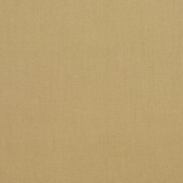 3888 Celadon by Charlotte Fabric Cotton Duck 100% Cotton 12 oz. Preshrunk Canvas Duck Made In USA Exceeds 60,000 Wyzenbeek Rubs (Heavy Duty) No Repeat 54 Inches - Fabric Carolina -